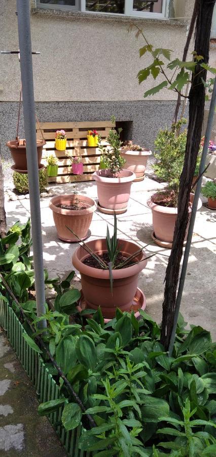 Draga Apartment Nesebar Ngoại thất bức ảnh